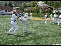 2011 06 24 3053-border